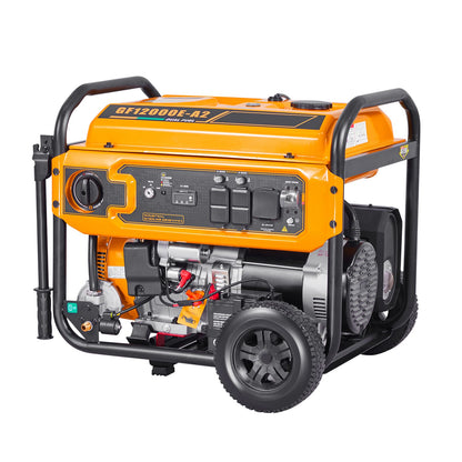 Portable Dual Fuel Generator 13500W Gasoline & 12000W LPG Peak Power — product view 11